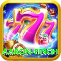 aaron finch Game Plus v3.3.5