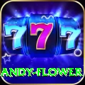 andy flower King APK v4.9.4