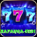 arapaima fish Casino Official v1.0.2