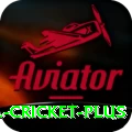 bbl cricket Game Plus v2.1.0