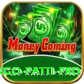 Bingo Patti Casino Ultimate v3.8.0