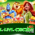 bpl live cricket Gaming Turbo