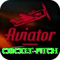 cricket pitch - Deluxe Earning App