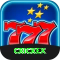crickex VIP - Daily Bonus