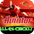 fastest ball in cricket Earn Pro v2.7.3