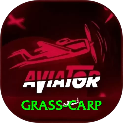 grass carp Gaming Mega v2.8.9 - 2