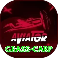 grass carp Gaming Mega v2.8.9