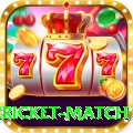 international cricket match Elite 2024