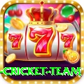 new zealand cricket team Gaming Royal v5.5.5