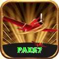 Pak67 VIP Pro v1.0.6