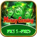 pk11 Max - Win Real PKR