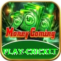 play cricket Mega Pakistan