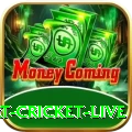 smart cricket live PK Turbo