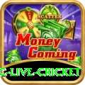 smartcric live cricket - Max Earning App