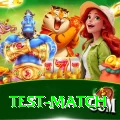 test match Gaming Plus v2.1.7