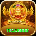 tiger888 Money Turbo v4.1.1