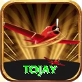 tojay Pro Edition v1.3.8