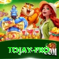 tojay Gaming Max v3.3.0