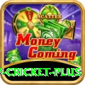 v cricket - Slots Max