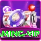 VIP Injector FF - Gaming VIP