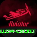willow cricket Extreme PK v4.7.1
